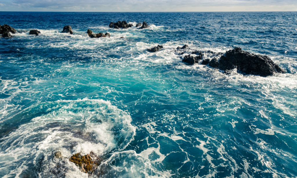 De arbeidsmarkt is een onstuimige oceaan, deze loopbaantheorie zorgt voor volle zeilen