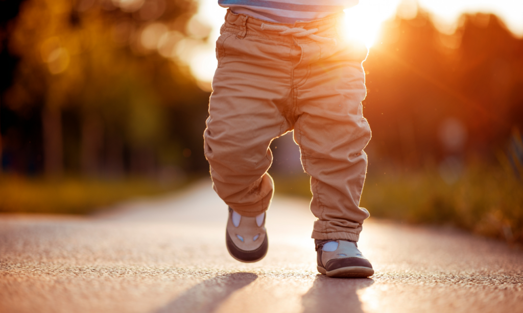 Deze websites hebben nuttige informatie over het STAP-budget