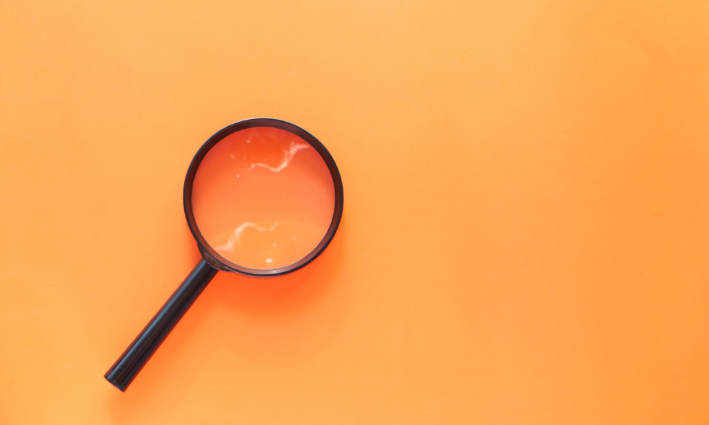 Deze kwaliteitskringen, onderzoekers en event-organisators zijn naar jou op zoek