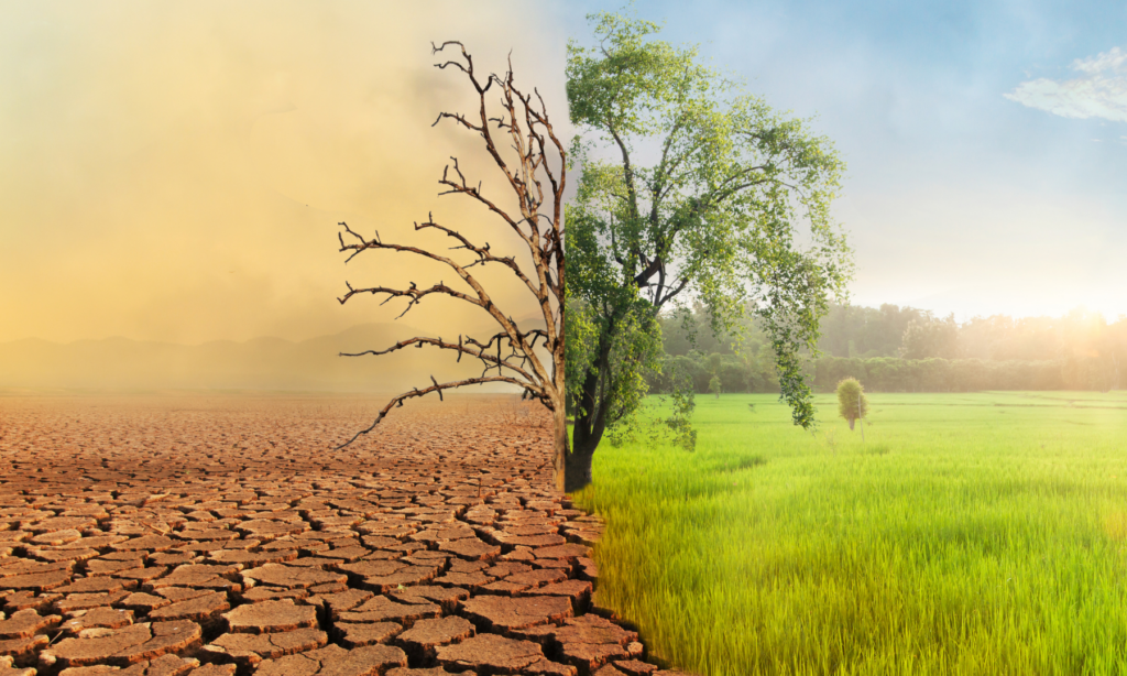 Waarom ook loopbaanbegeleiders niet om de klimaatcrisis heen kunnen